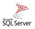 sql server development india